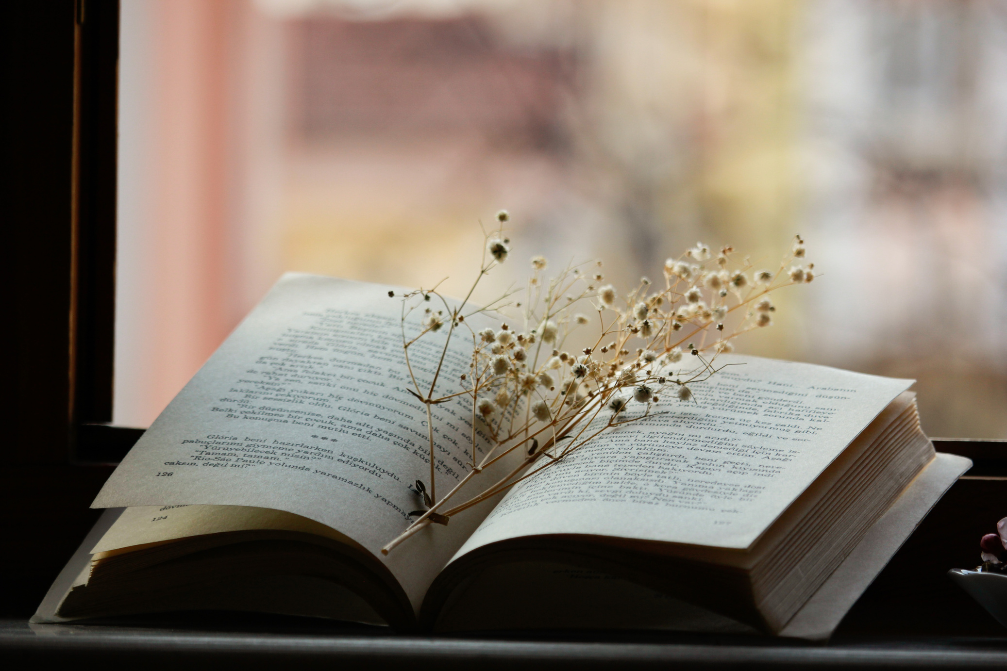 Withered Flowers on the Top of a Book